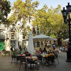 Sunny Studio In Sants , Barcellona Spagna